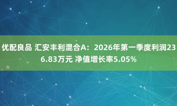 优配良品 汇安丰利混合A：2026年第一季度利润236.83万元 净值增长率5.05%